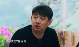 黄磊爆料应采儿视频播放,黄磊揭露应采儿视频播放幕后真相
